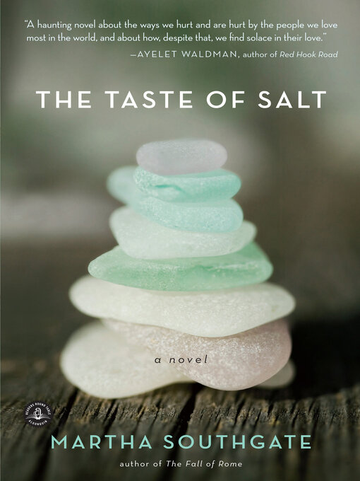 Title details for The Taste of Salt by Martha Southgate - Available